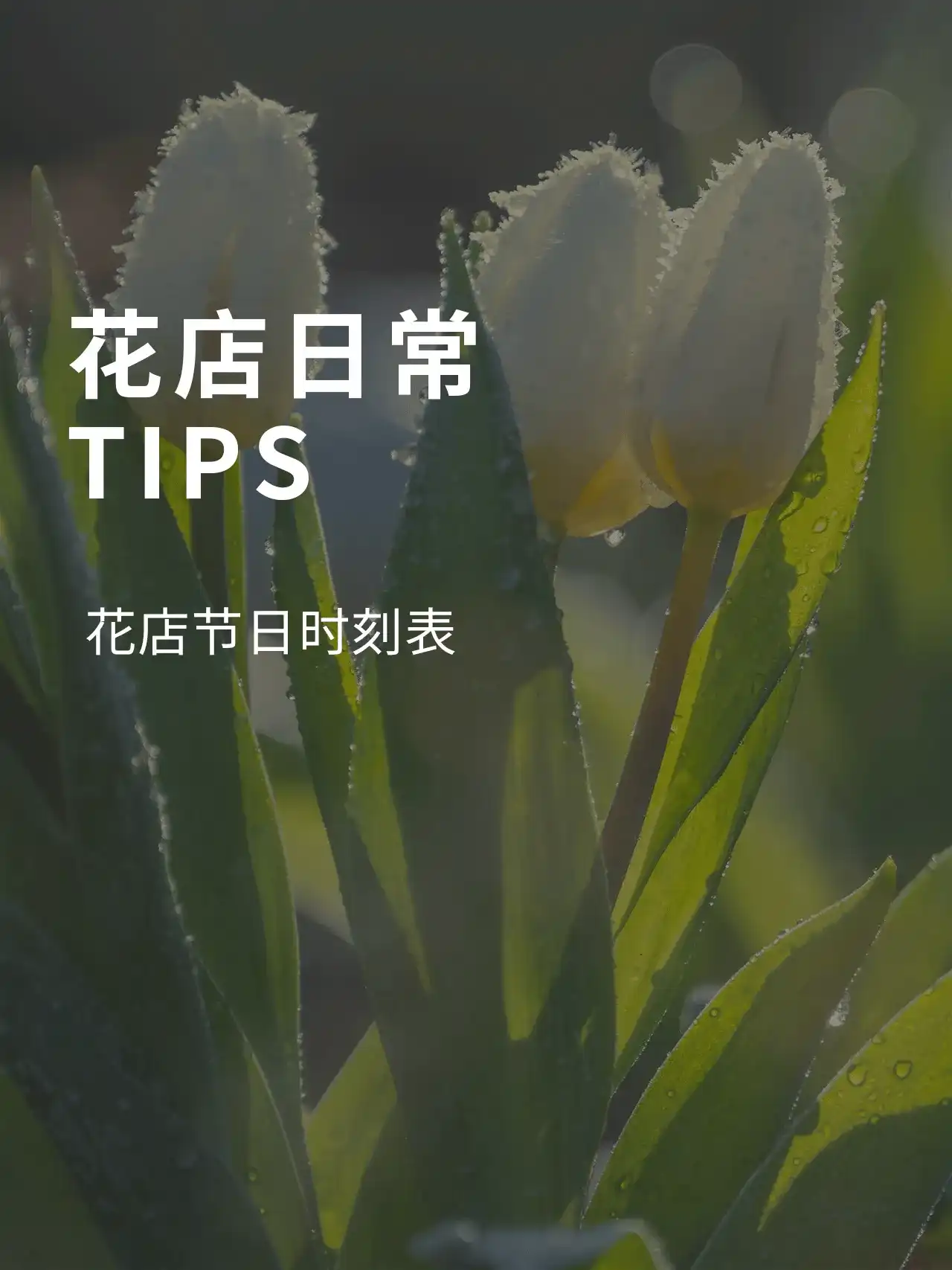 Tips·花店节日时刻表