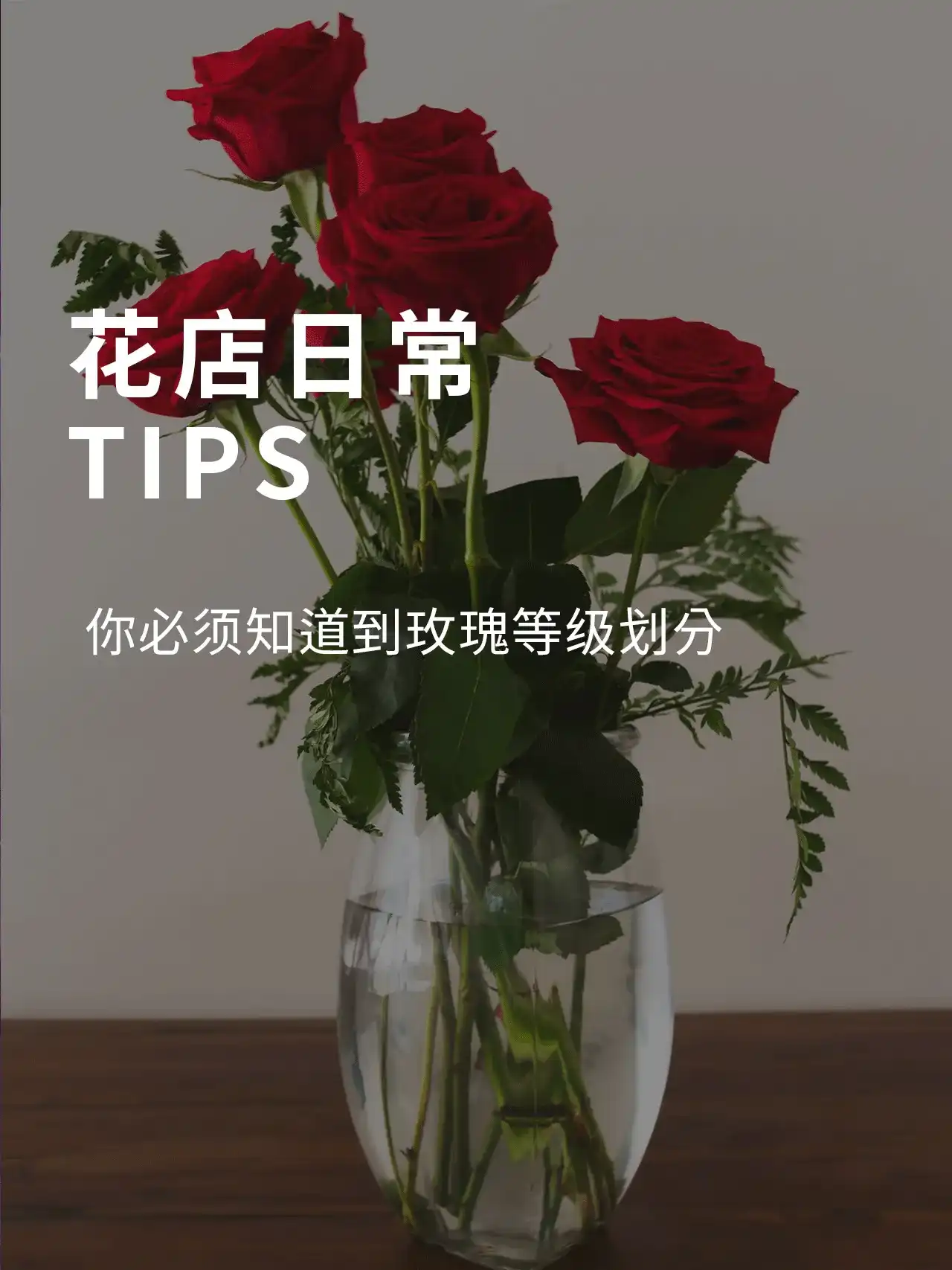 TIPS·你必须知道到玫瑰等级划分